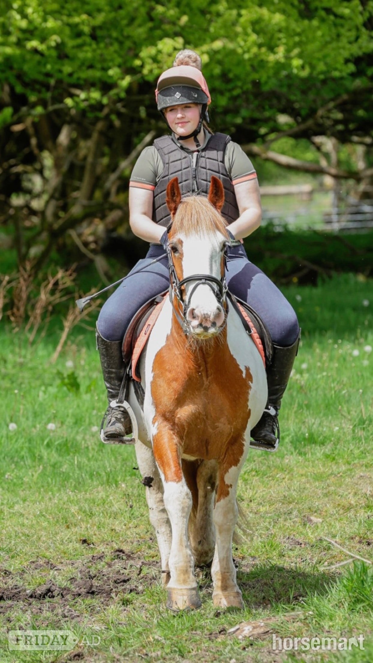 "Rosie " Skewbald Mare All Rounder