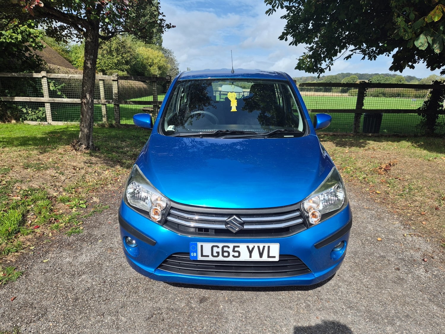 Suzuki Celerio Alton