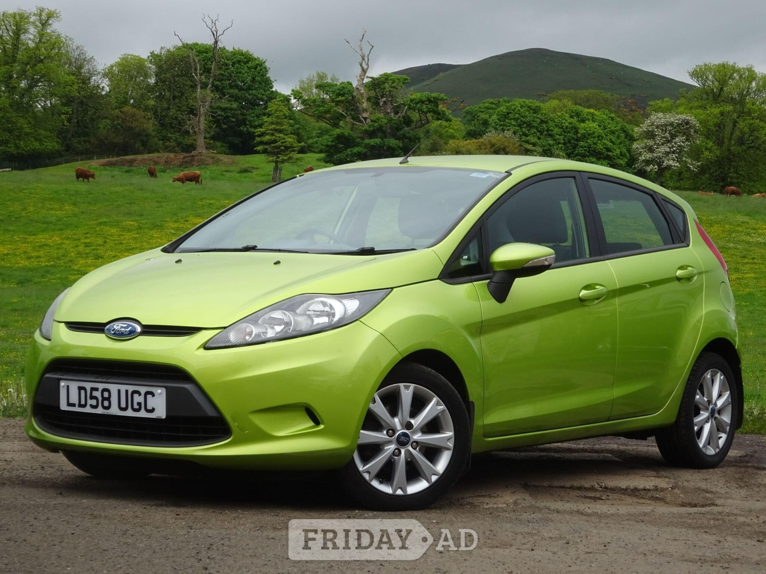 Ford Fiesta Leven