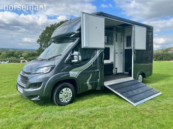 Unique  Peugeot Horsebox