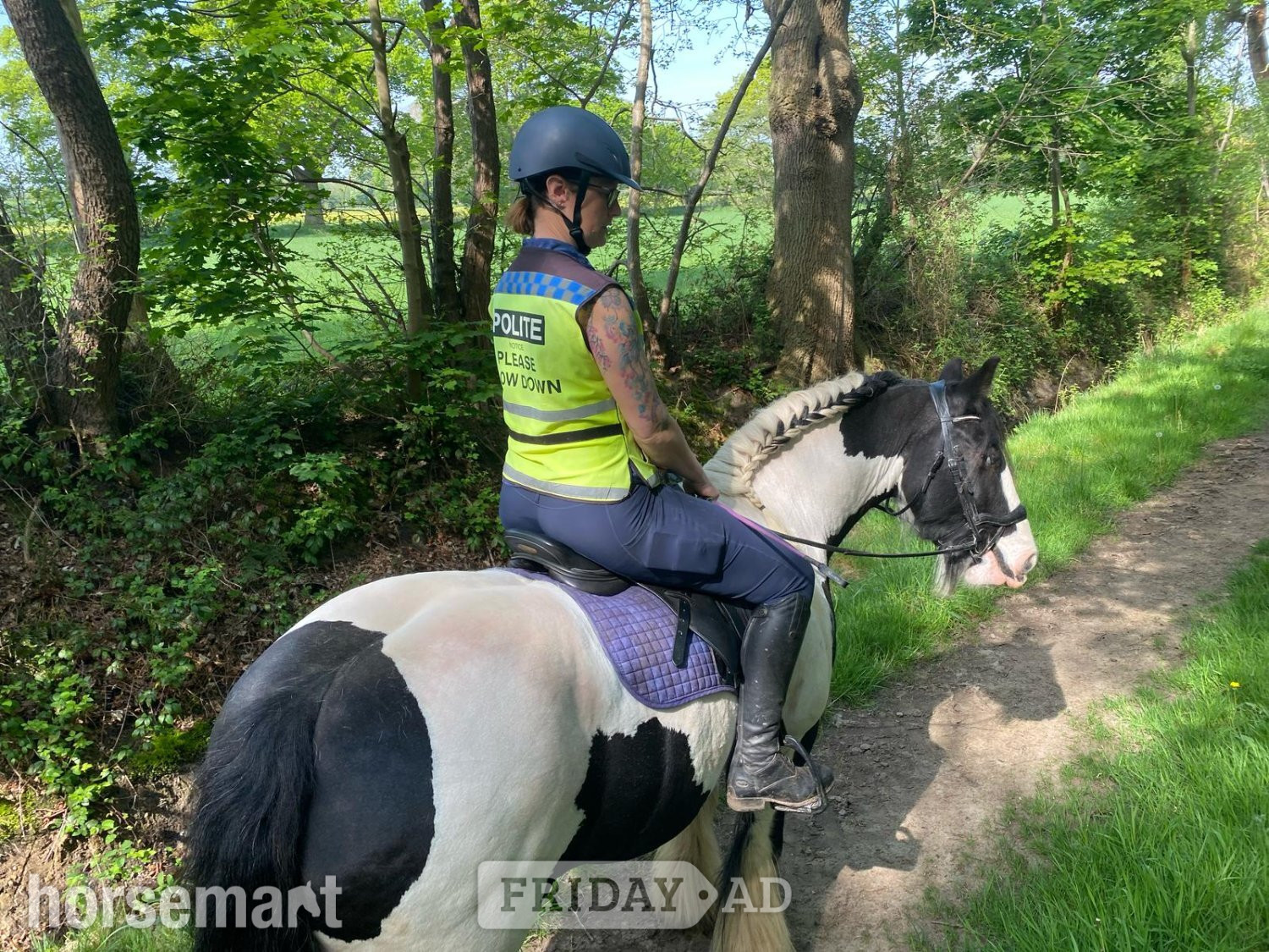 Cob for part loan - Horses in Shrewsbury