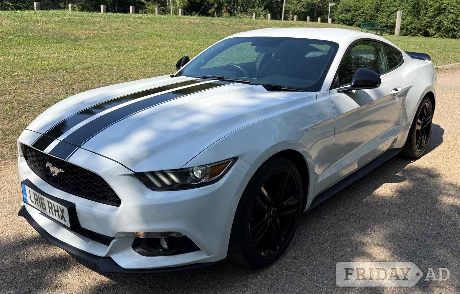 [ berth ]Ford Mustang