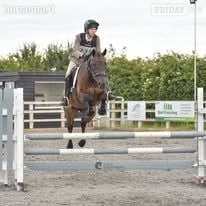"Nancy" Bay Mare Show Jumper - Horses in Woodbridge