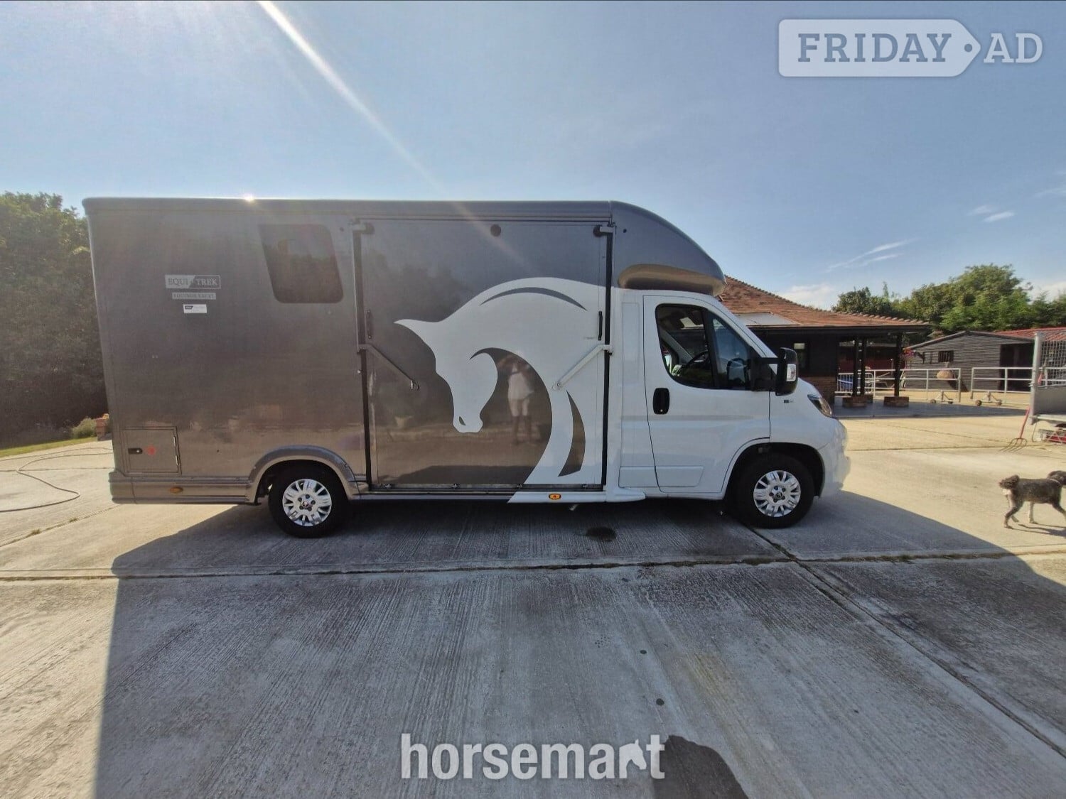 Equi-Trek Equinox Excel Peugeot Horsebox in Hockley