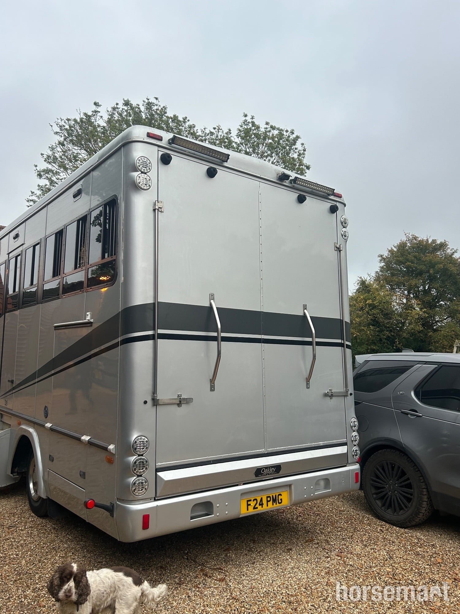 Oakley Supreme DAF Horsebox - Trailers & Horseboxes in Barham