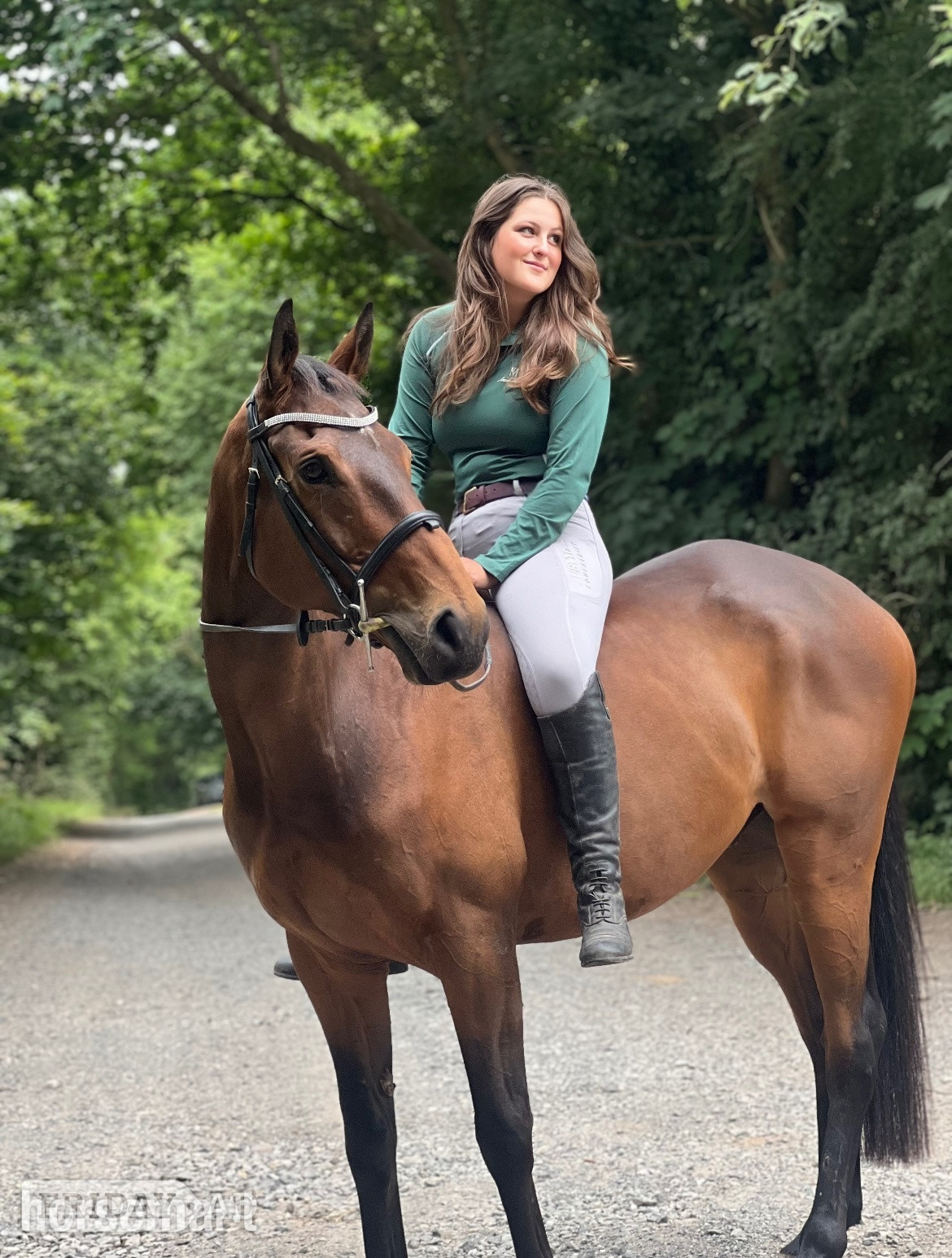 "Dernier Souffle " Bay Gelding All Rounder