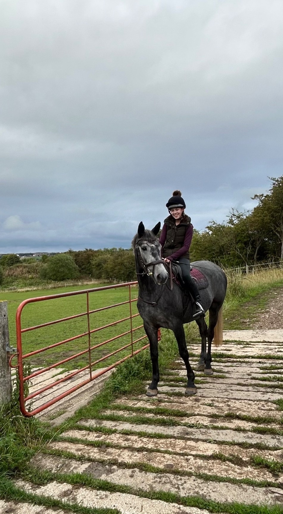 "Orla" Grey Mare Project Horse