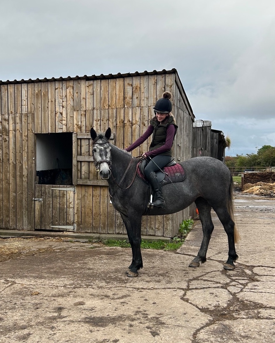 "Orla" Grey Mare Project Horse - Horses