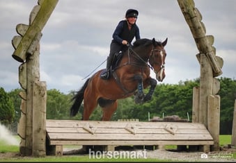 "Gin" Bay Gelding All Rounder