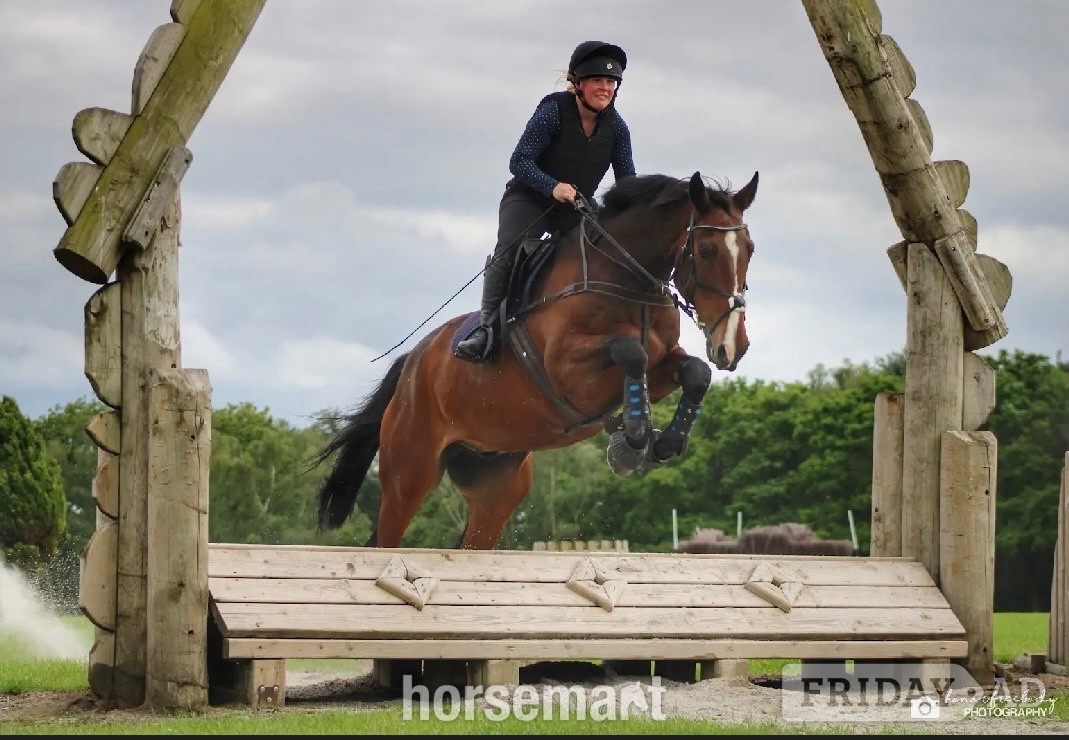 "Gin" Bay Gelding All Rounder in Northwich