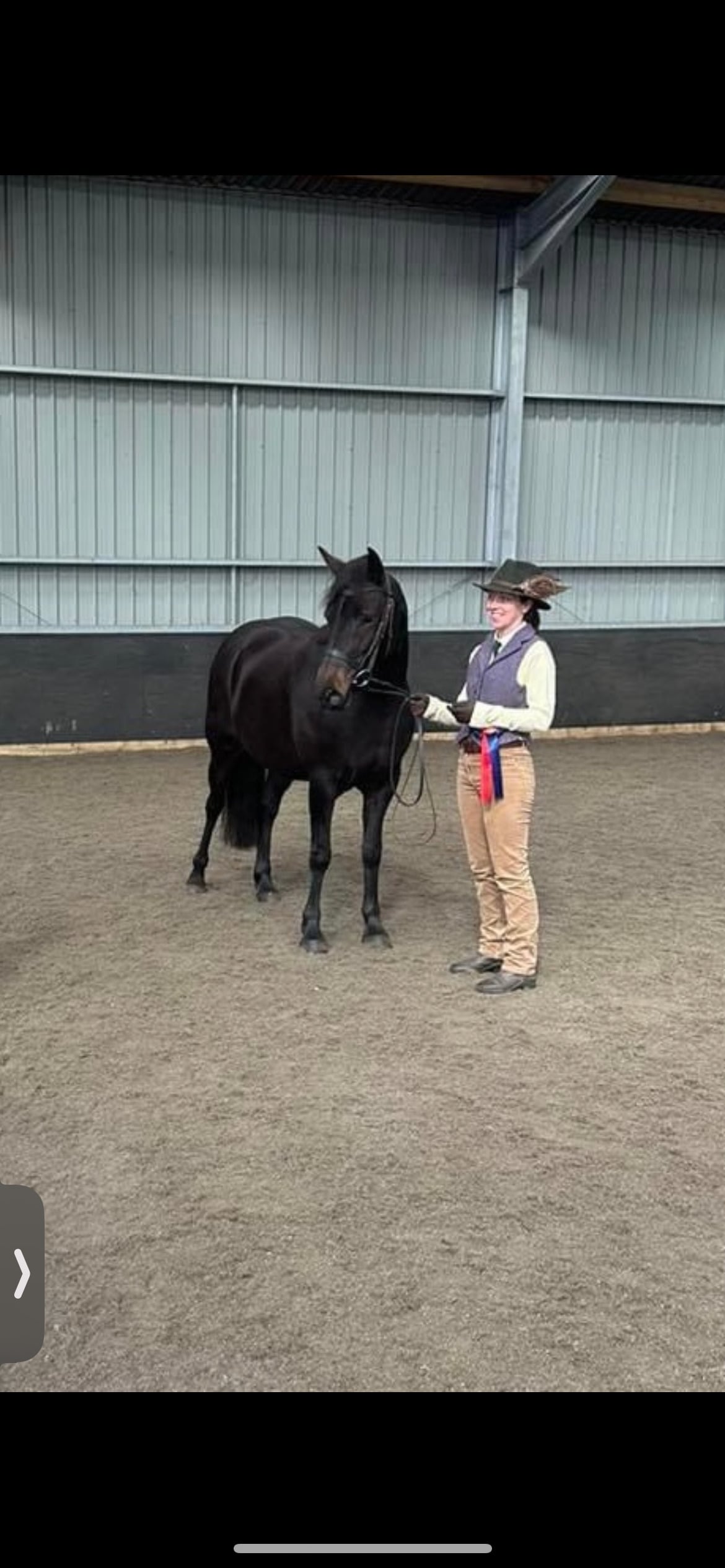 13.3hh Connie Type Mare