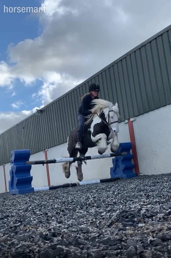 "Skye" Piebald Mare Lead Rein/First Ridden Pony