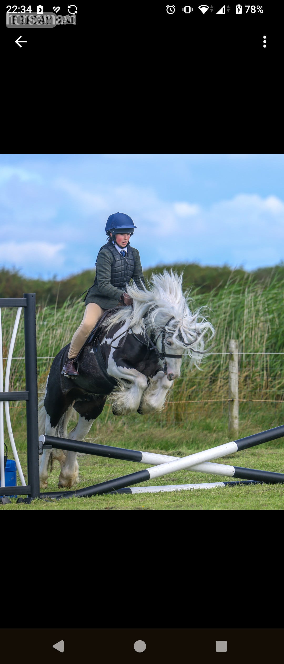 "Skye" Piebald Mare Lead Rein/First Ridden Pony