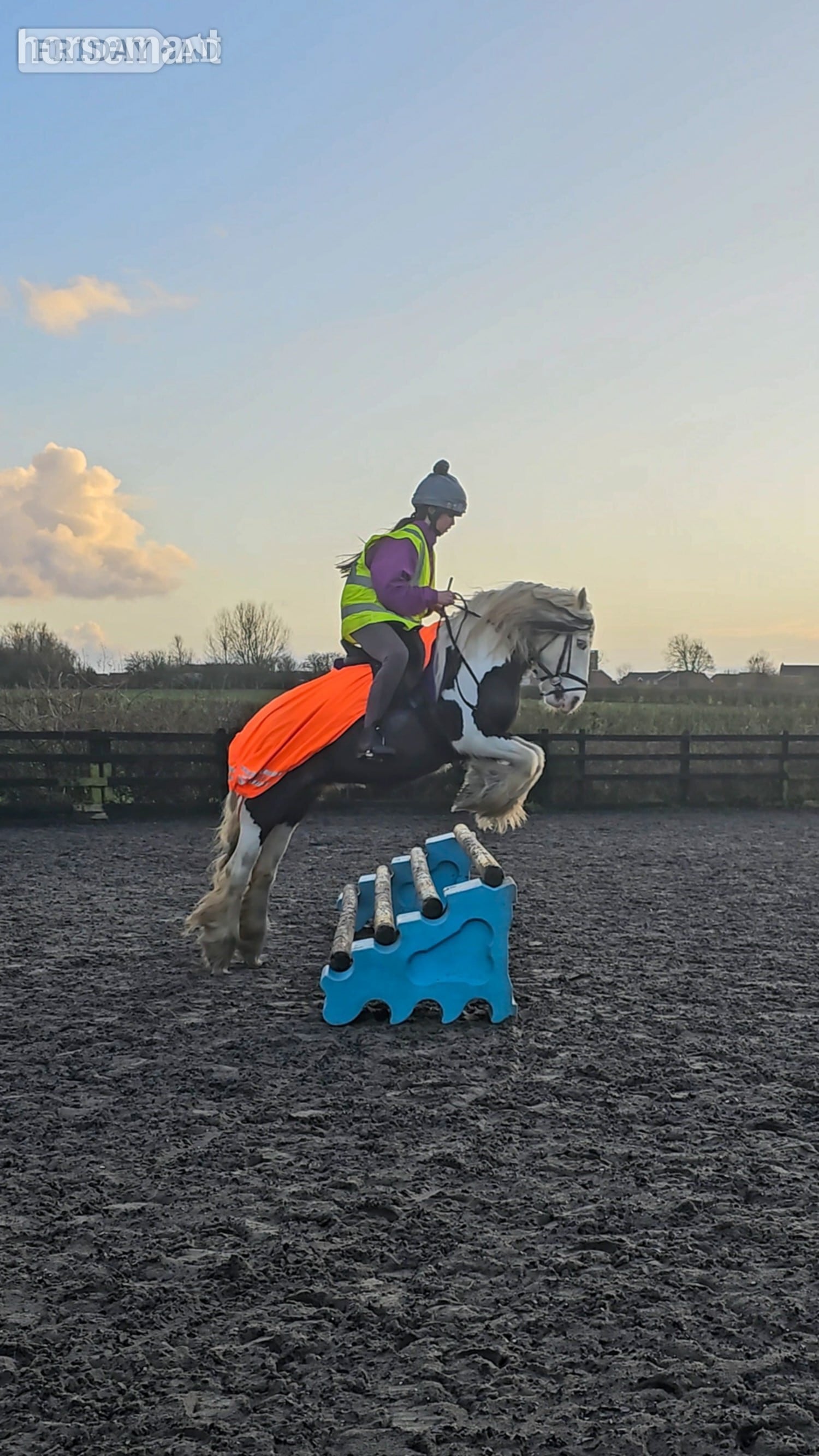 Blackpool "Skye" Piebald Mare Lead Rein/First Ridden Pony