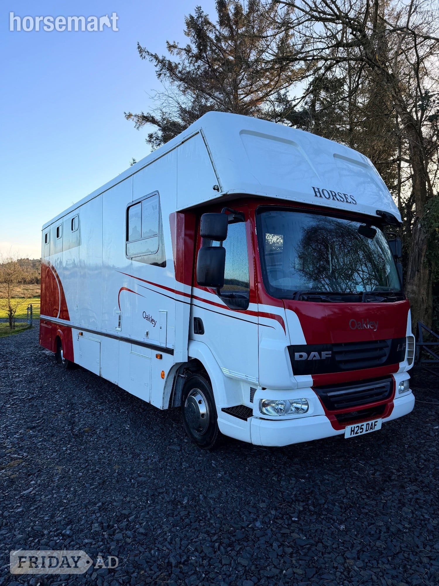 Oakley Supreme Daf Trucks Horsebox in Belfast