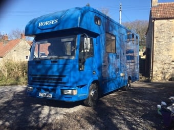 Iveco Ford Horsebox