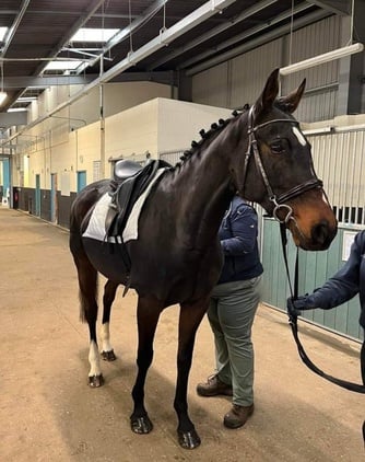Ex racer companion or project full loan