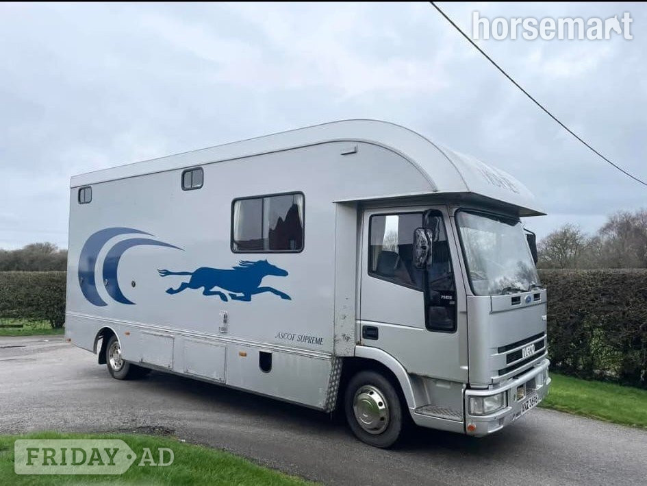 Other  Iveco-ford Horsebox - Trailers & Horseboxes