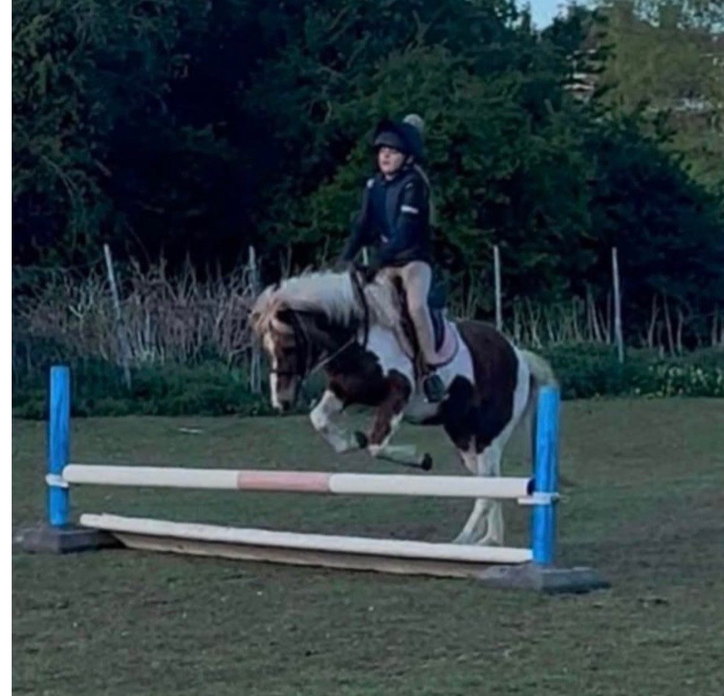 "Buttons " Skewbald Mare Lead Rein/First Ridden Pony