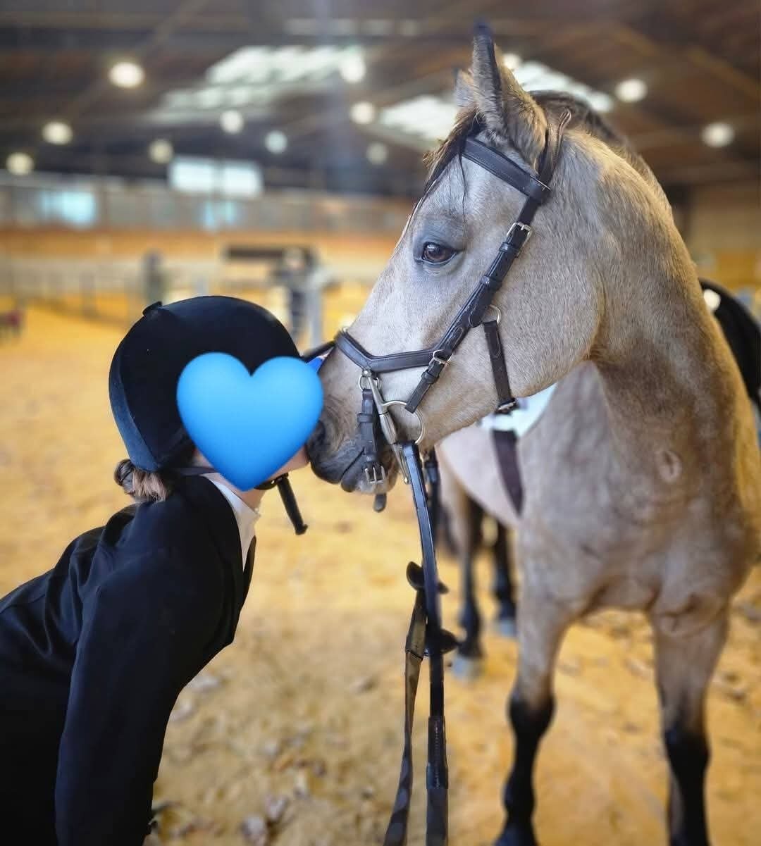 Hailsham "Willow" Dun Mare Pony Club Pony