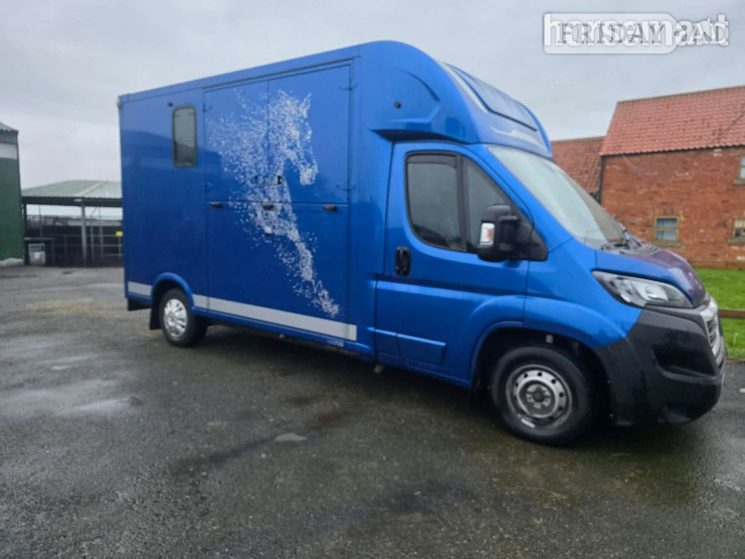 Theault Firsteo Peugeot Horsebox in Goxhill