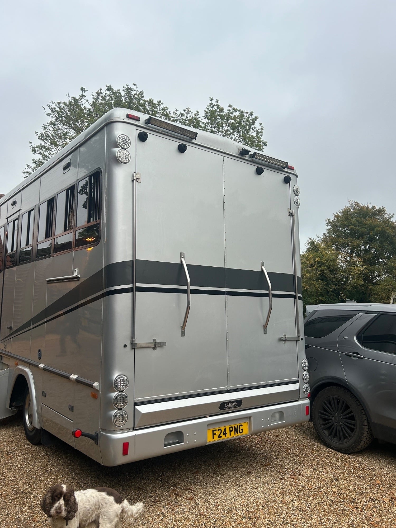 Oakley Supreme DAF Horsebox - Trailers & Horseboxes in Barham