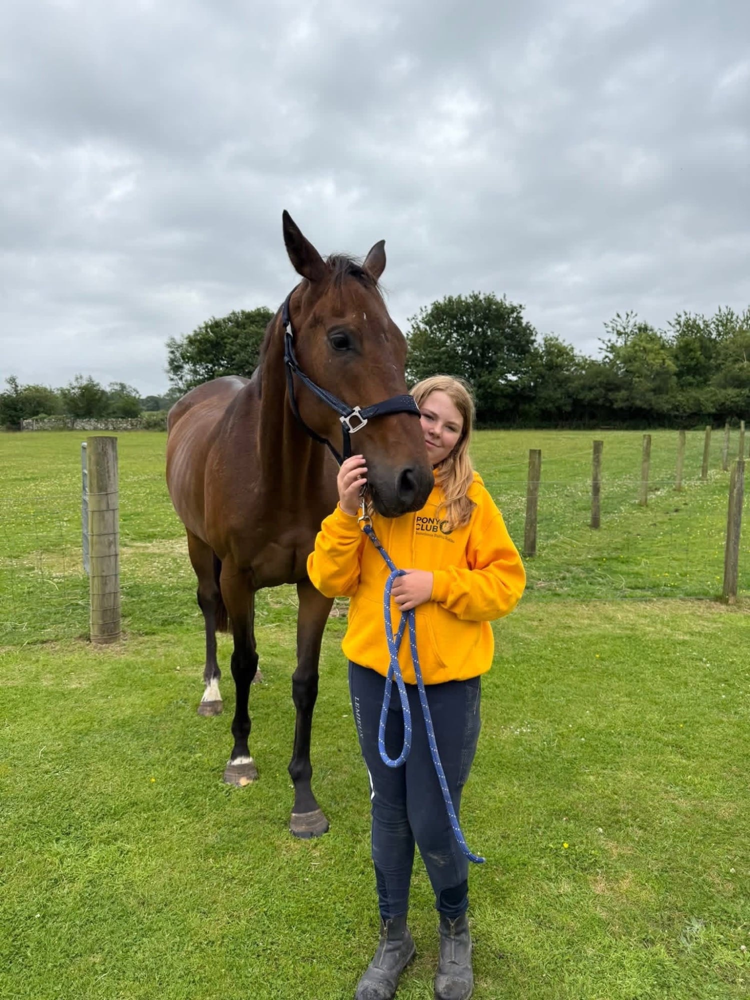 "Ollie" Chestnut Gelding All Rounder