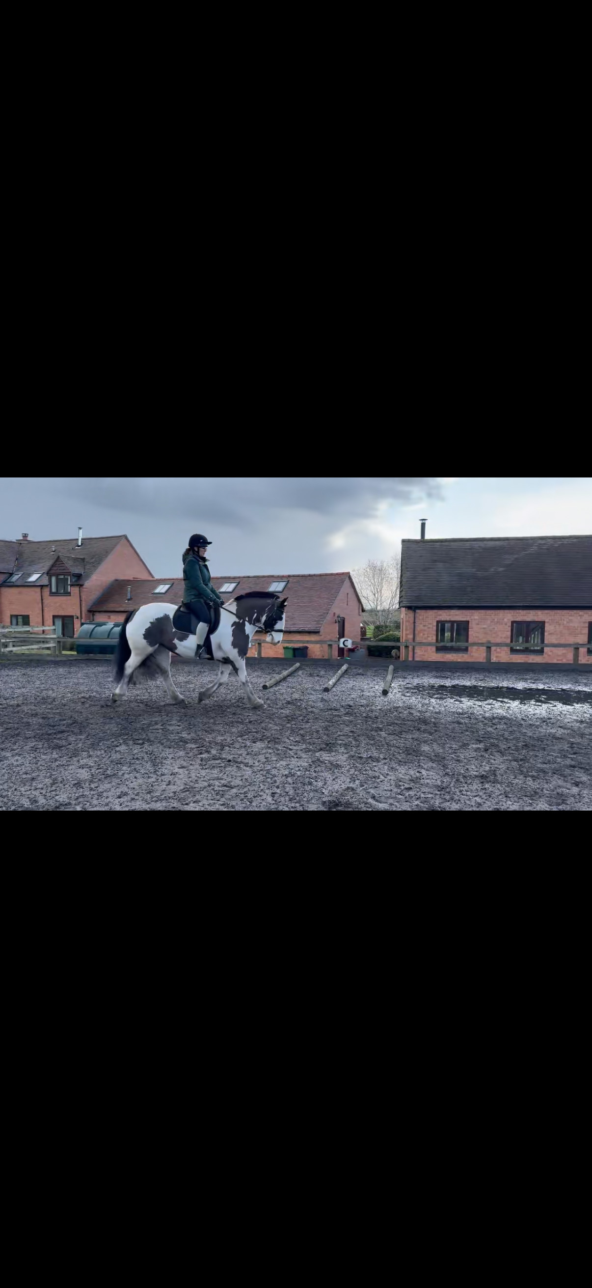 "Dolly Mixture" Piebald Mare Cob/Heavy Horse