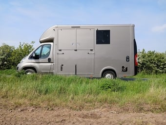 Foxy Stallion Vauxhall Horsebox