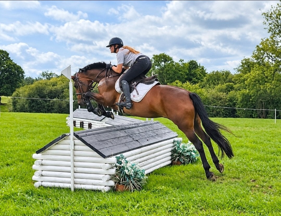 "Tanmy"  Mare All Rounder - Horses in Middlewich