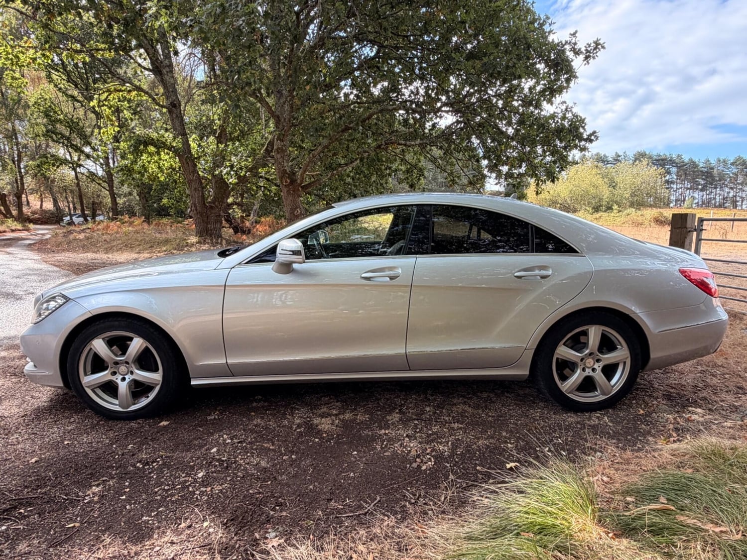 Mercedes-Benz CLS Class 2013 - Cars