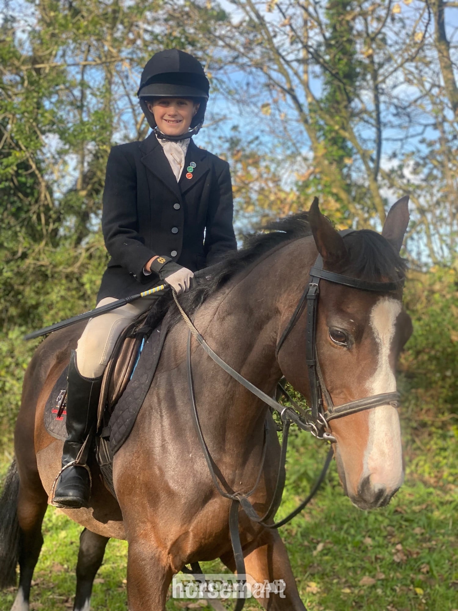 "Mini Monica " Bay Mare All Rounder