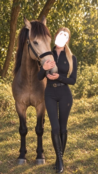 "Rupert" Dun Gelding All Rounder