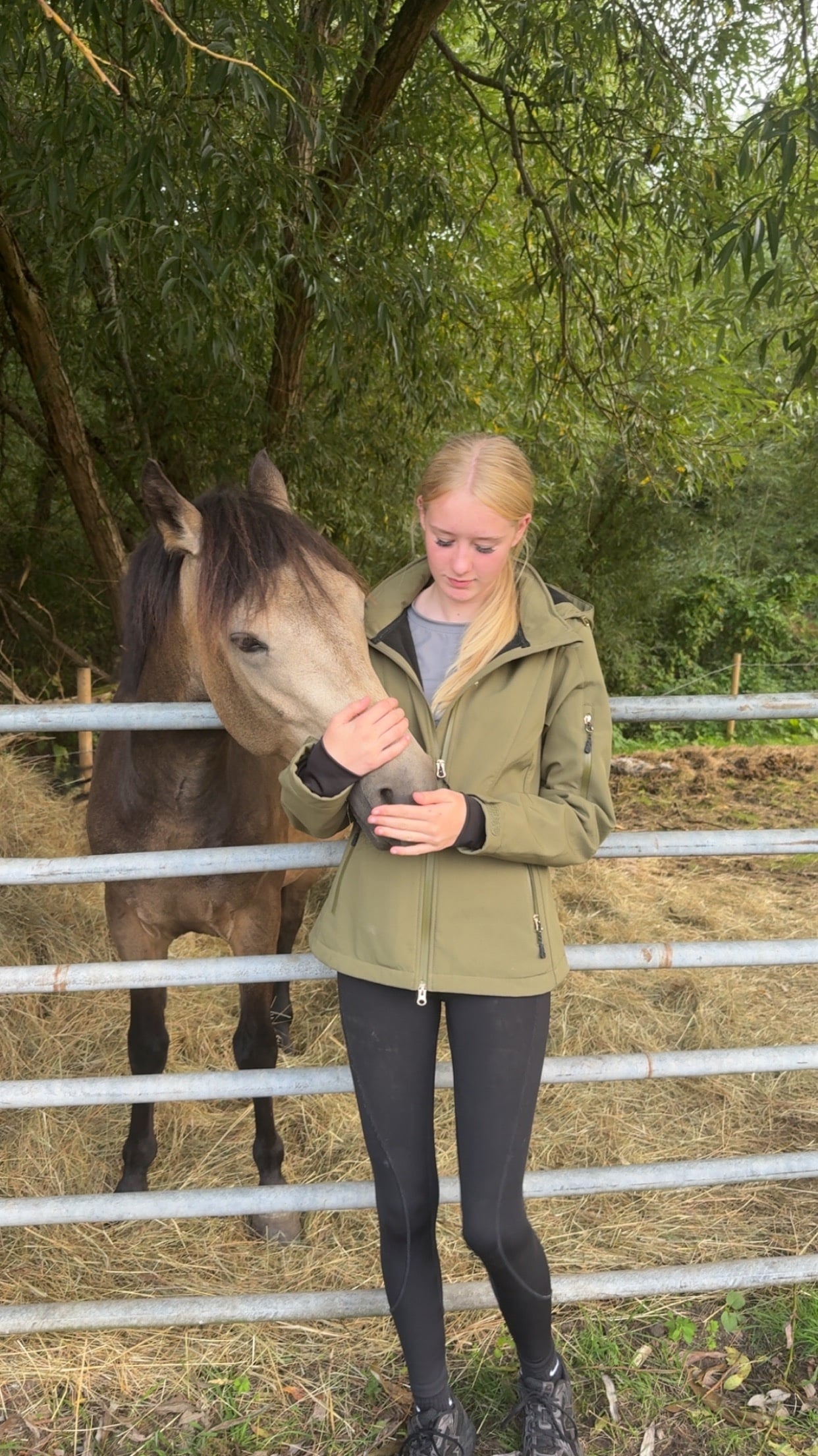 "Rupert" Dun Gelding All Rounder