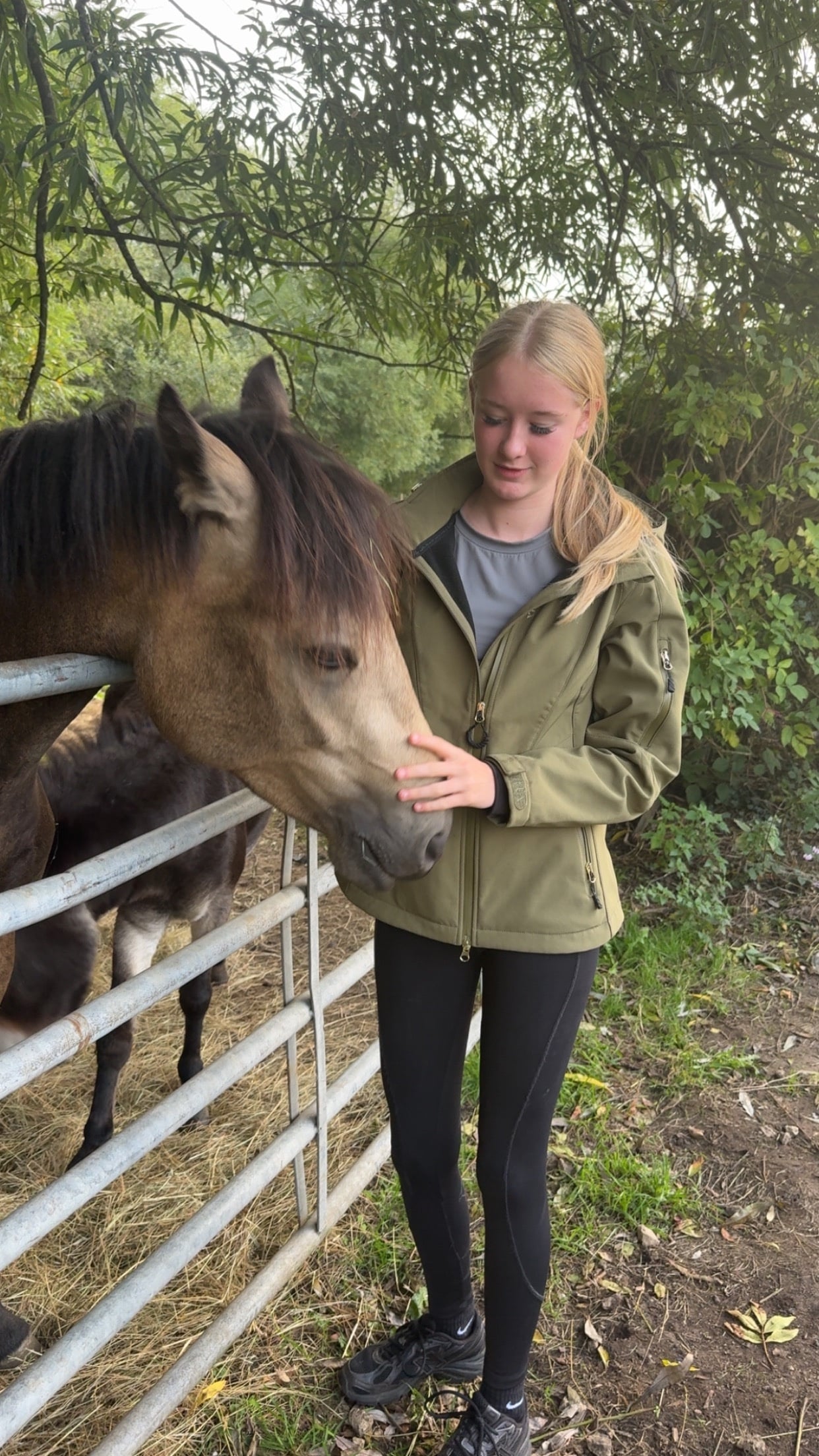 Rotherham "Rupert" Dun Gelding All Rounder