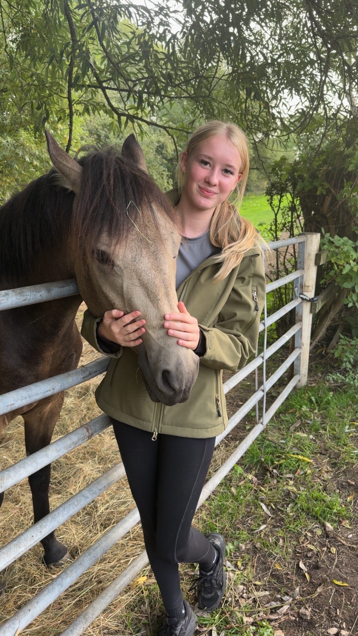 "Rupert" Dun Gelding All Rounder - Horses in Rotherham