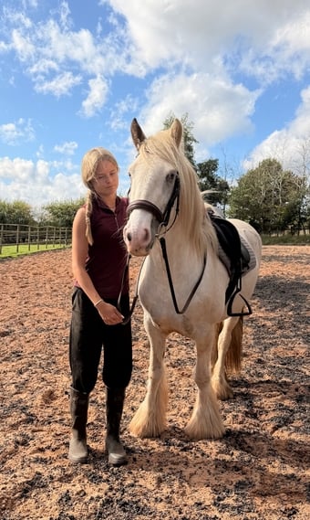 "Sheeny " Grey Mare Cob/Heavy Horse