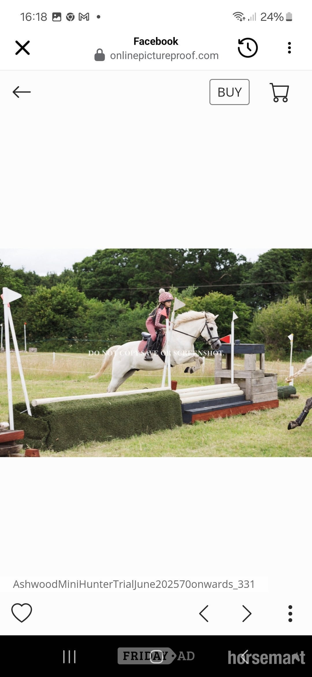 "Firefly " Grey Gelding All Rounder in Wolverhampton