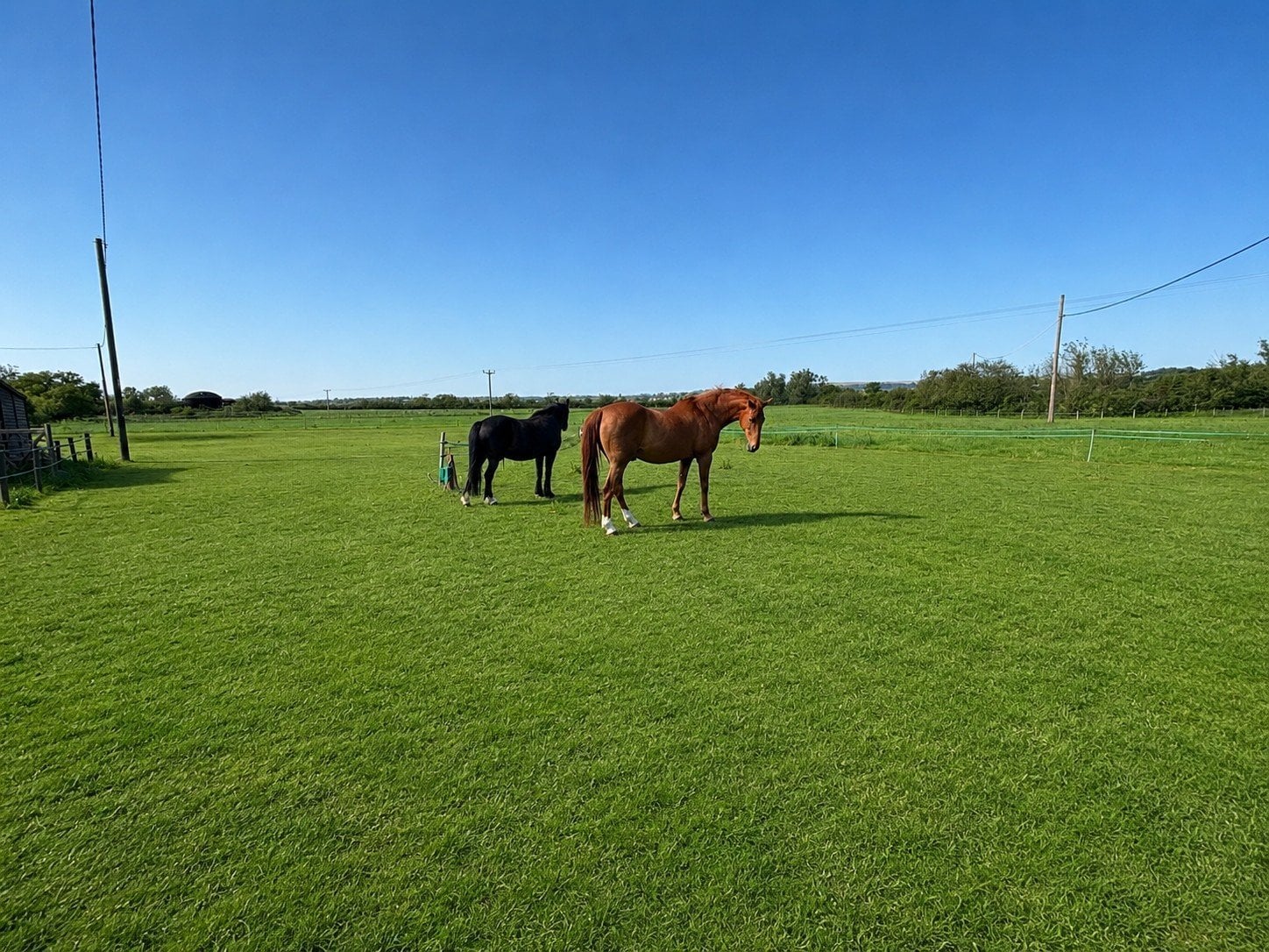 House Property for sale in Milton on Stour