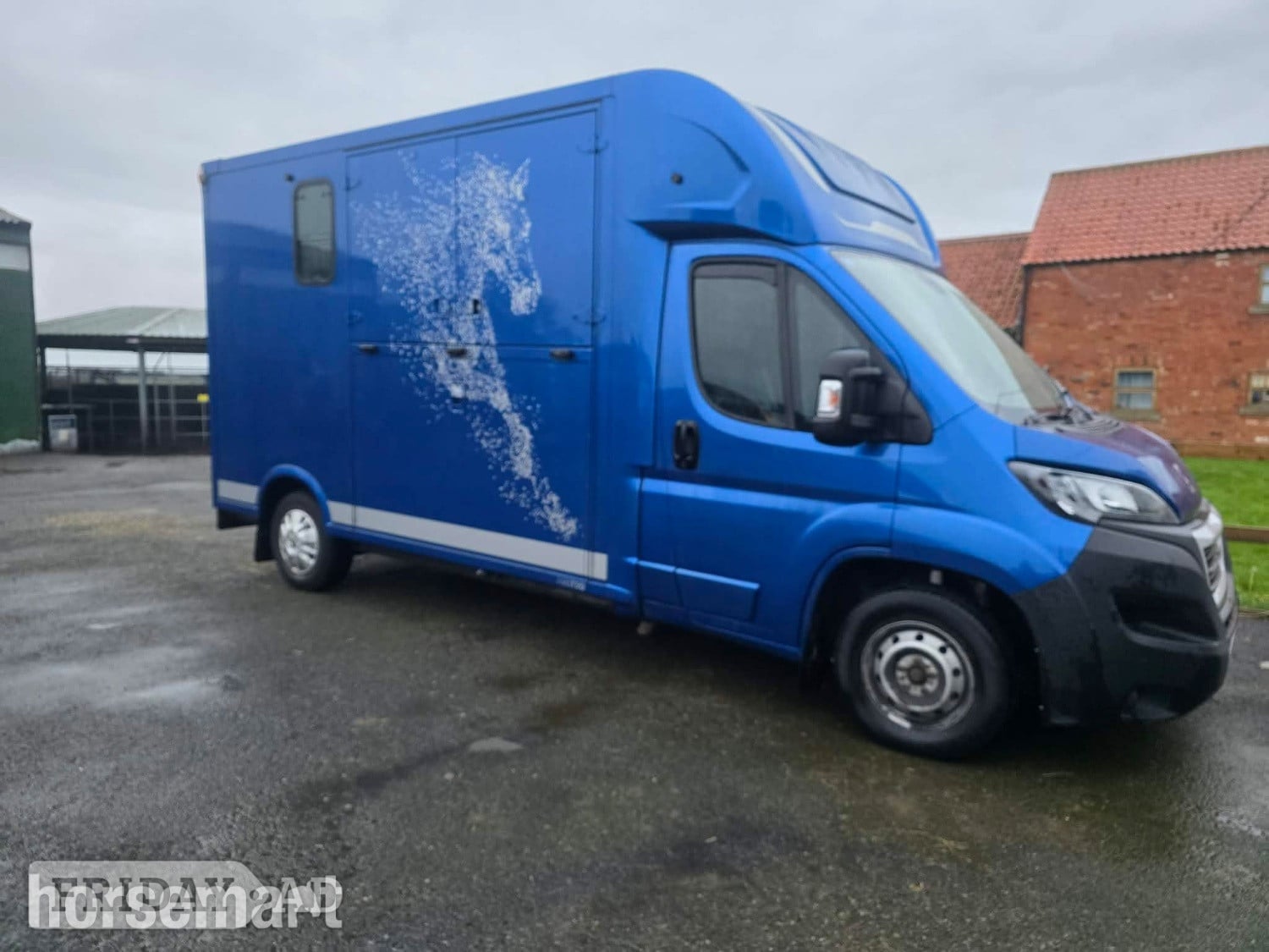 Theault Firsteo Peugeot Horsebox in Goxhill