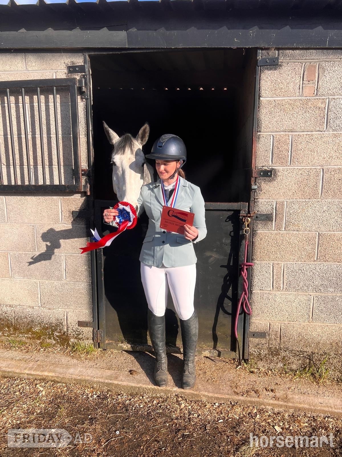 "Primo " Dapple Grey Gelding Eventer - Horses