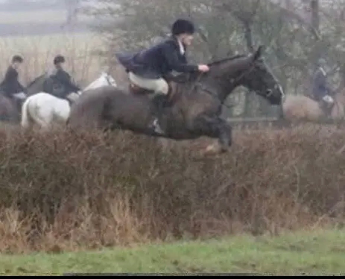Newcastle u-Tyne "Missy" Black Mare All Rounder