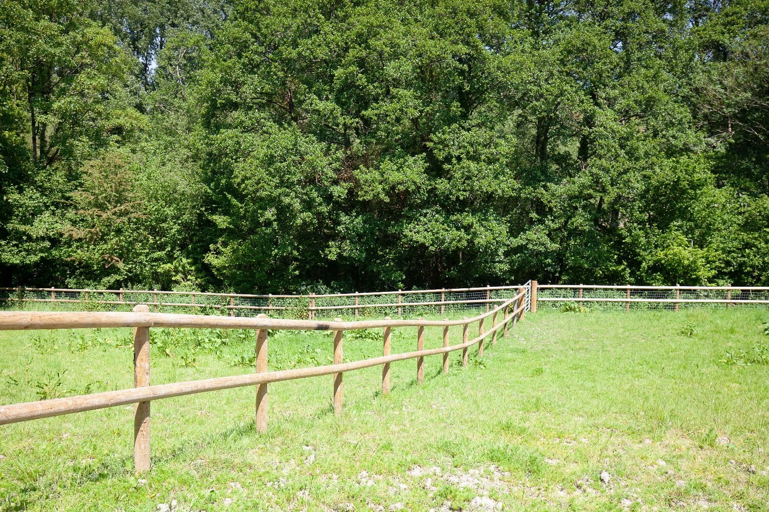 Melbury Abbas House Property for sale in Melbury Abbas