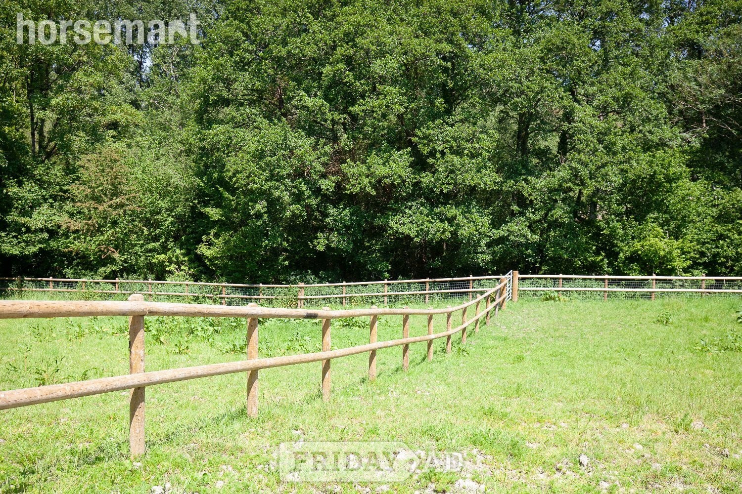 Melbury Abbas House Property for sale in Melbury Abbas