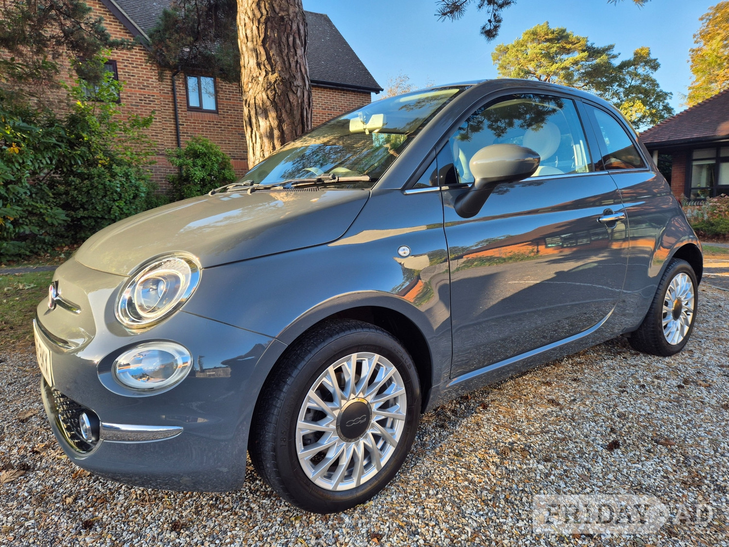 Fiat 500 2018 in Fleet