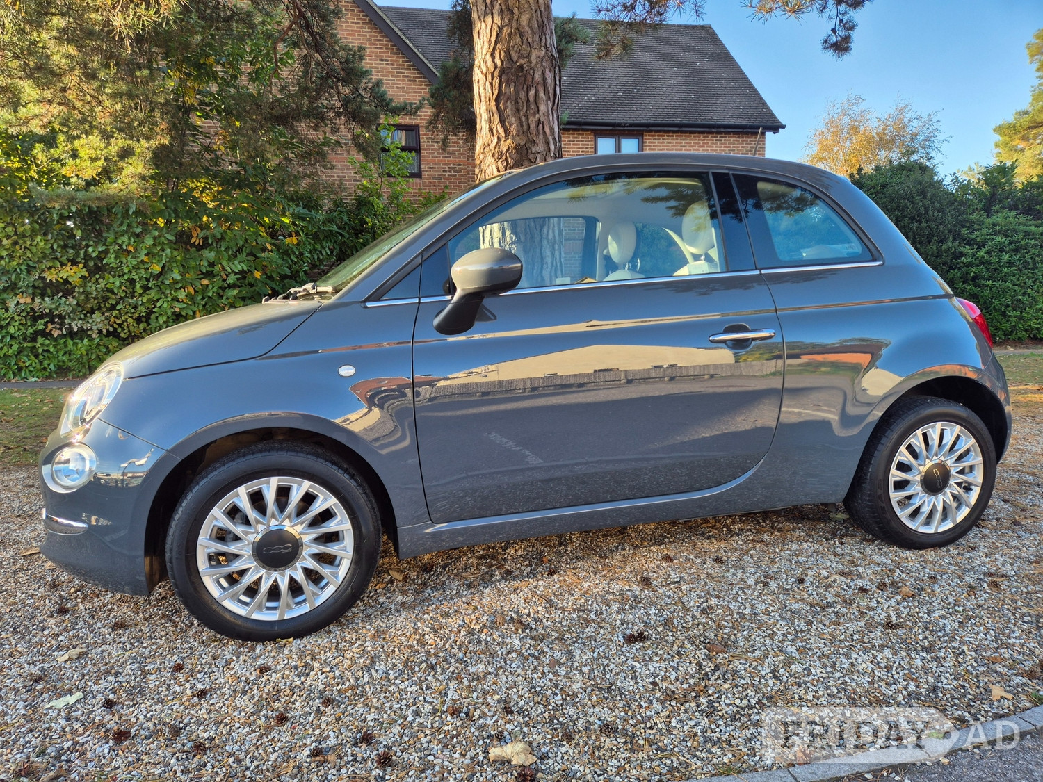 Fiat 500 Fleet