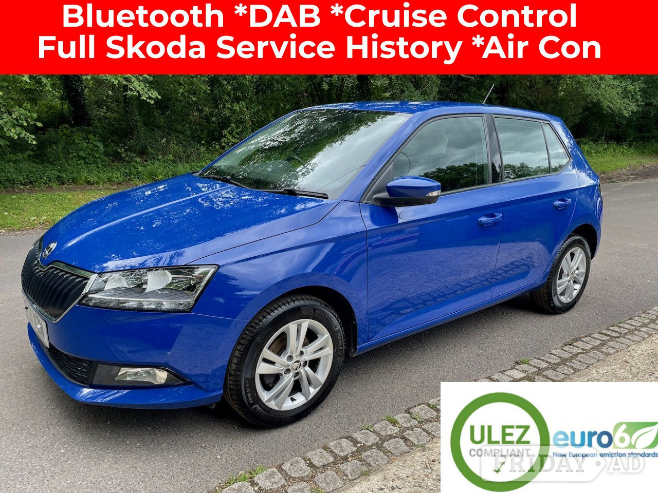 Skoda Fabia 2021 in Billingshurst