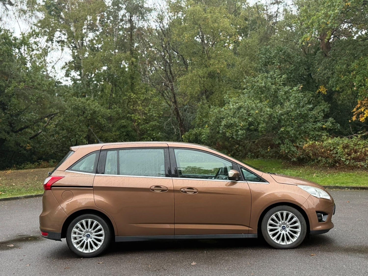 Ford Grand C-MAX 2014 - Cars