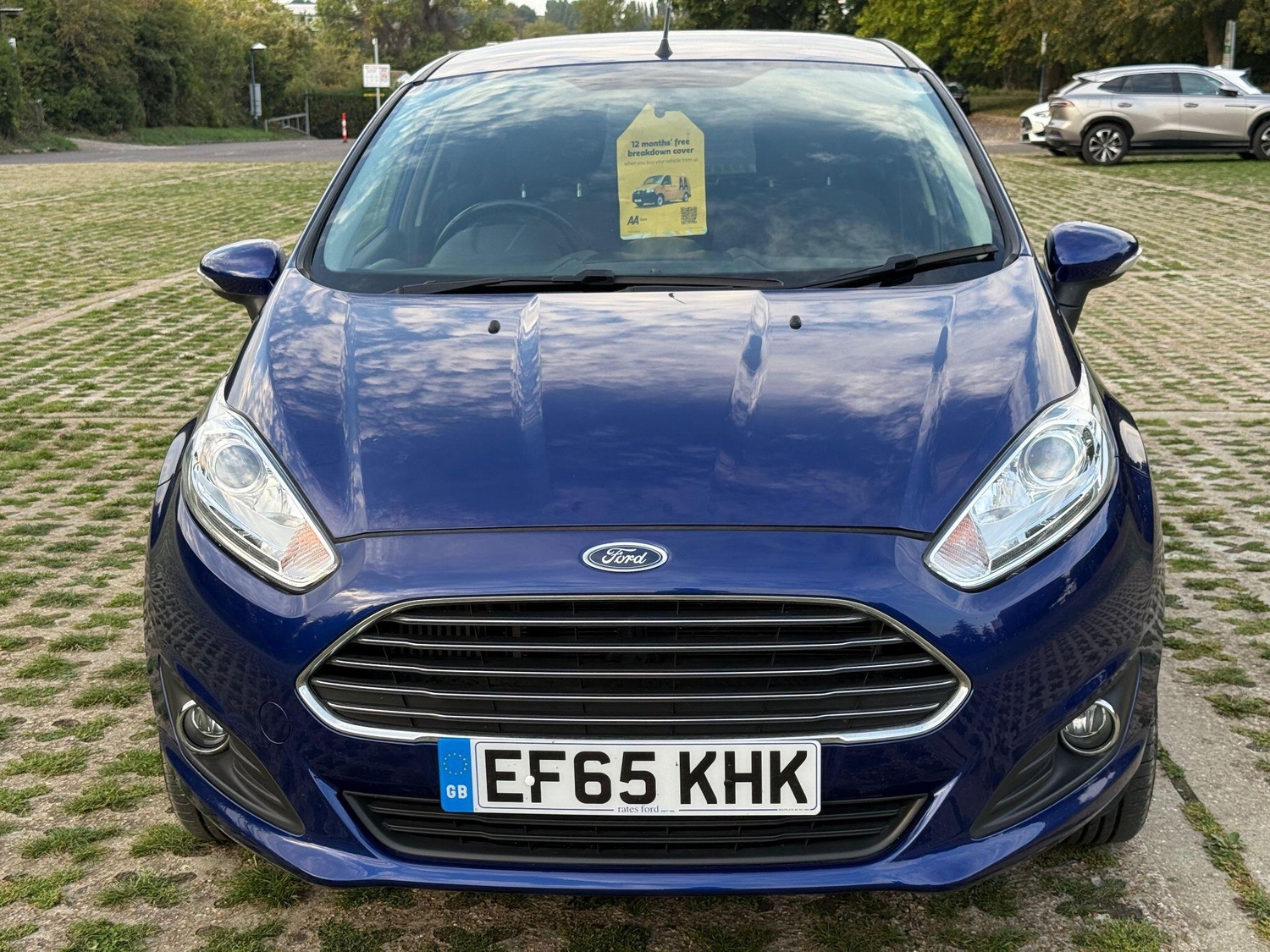 Ford Fiesta Swanley