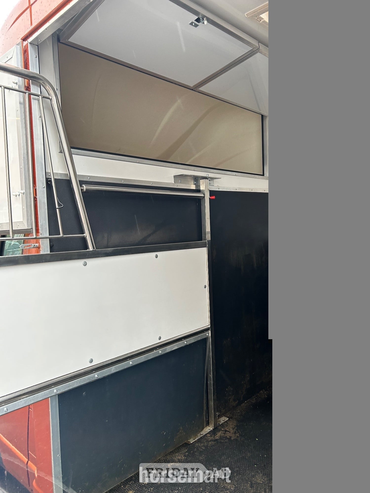 Regent  Peugeot Horsebox - Trailers & Horseboxes in Dundee